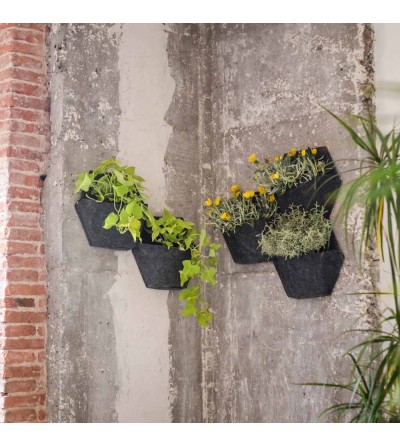 Giardino verticale con vasi da parete con auto-irrigazione