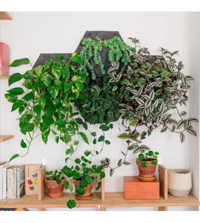 Vasi da parete per piante da Interno o da esterno