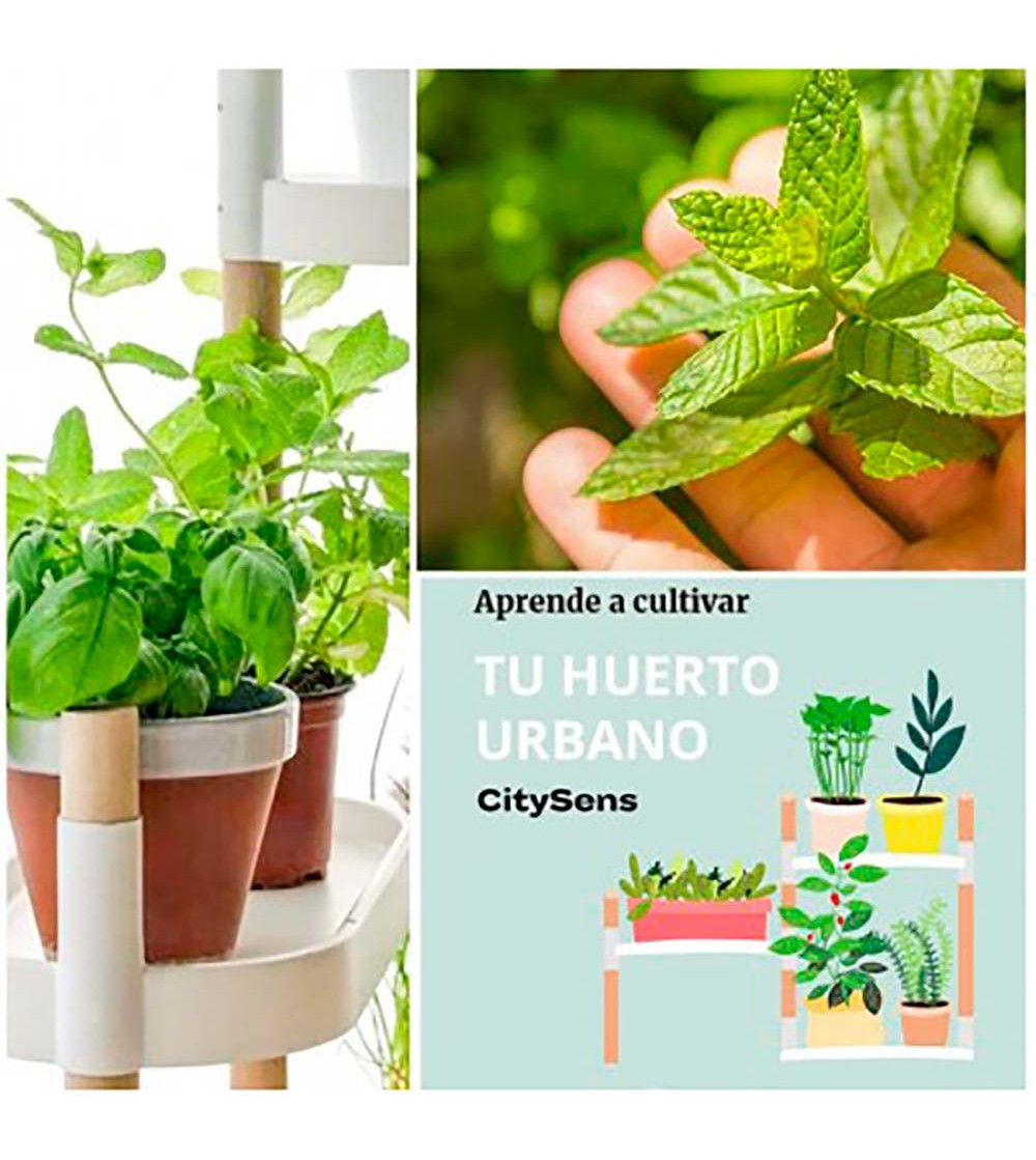 Échelle étagère jardinière pour plantes et aromatiques – Vert – LAPADD