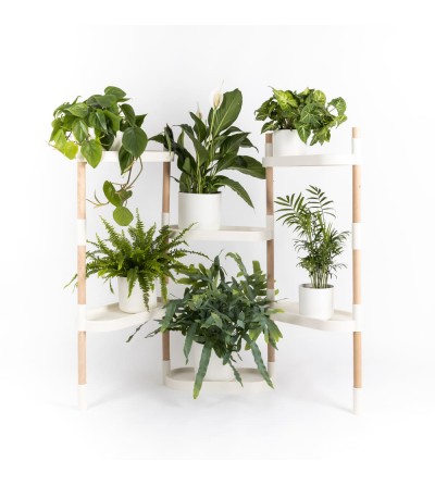 6-tray modular plant shelves
