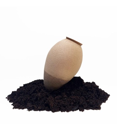 Olla self-watering porous pot