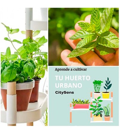 Manual aprende a cultivar tu huerto urbano