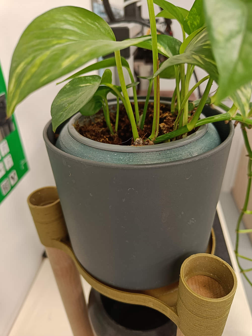 sustainable plant pots with 3D printing