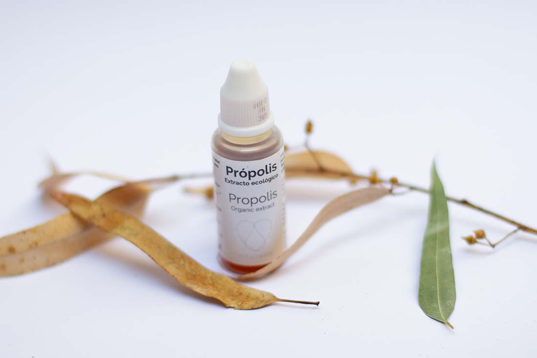 Propolis: fongicide écologique pour les ravageurs de plantes les plus  fréquents.