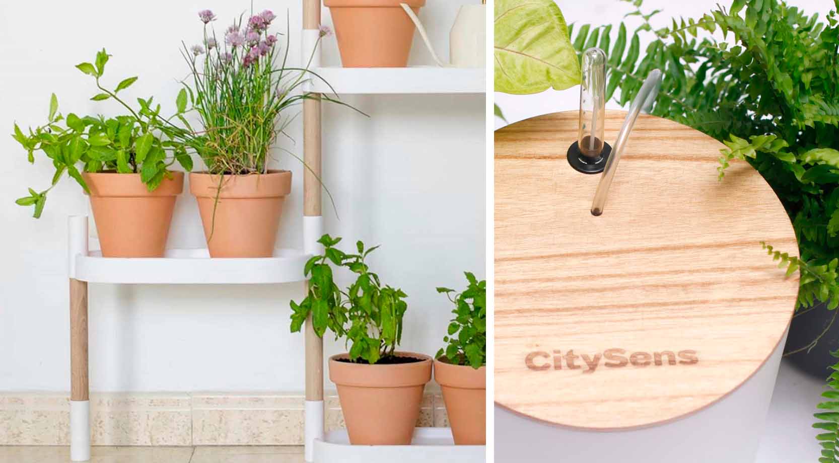 Citysens Étagère pour Plantes