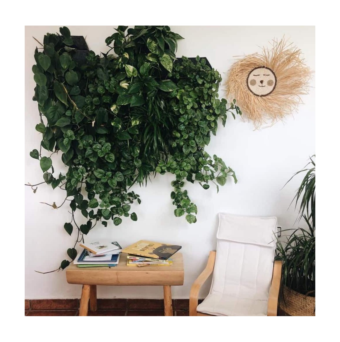 HANGING PLANTS: DECORATE YOUR HOME INSIDE AND OUTSIDE - Citysens